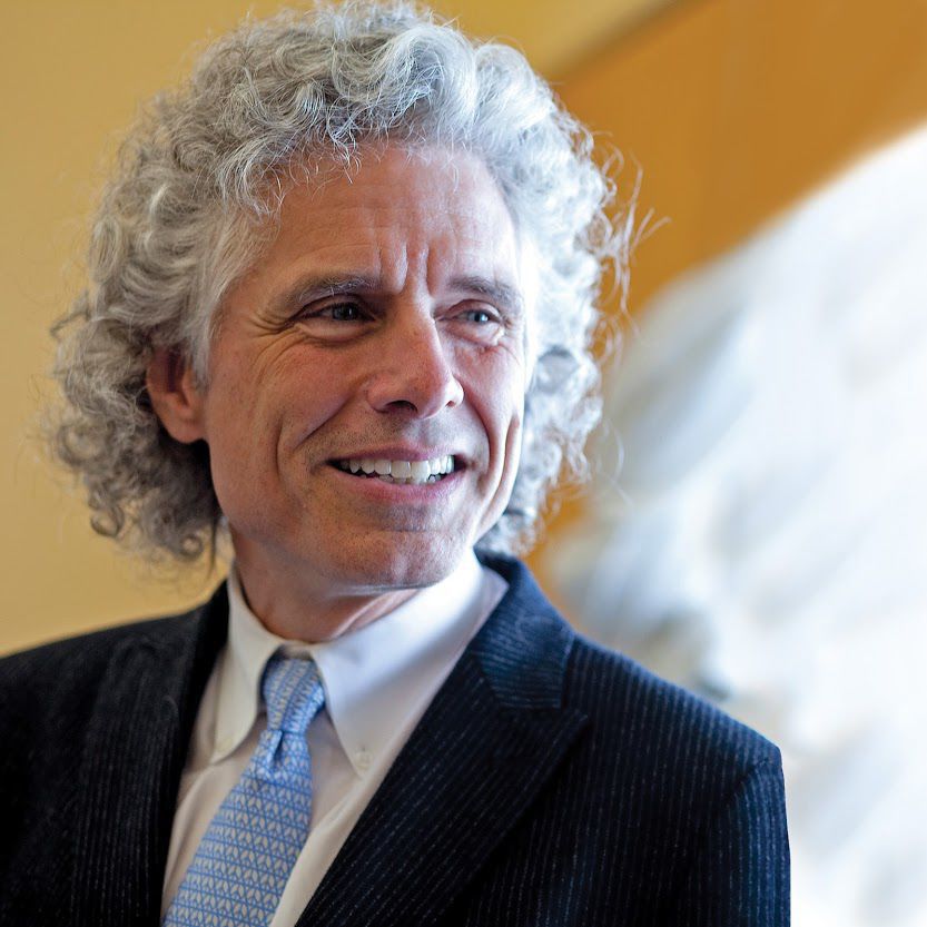 Author Steven Pinker has another bestselling book on his mind
